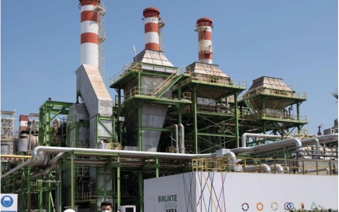 AKSA Acrylic Plant