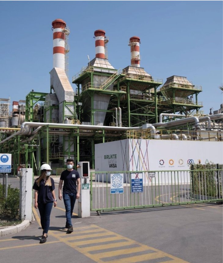 AKSA Acrylic Plant